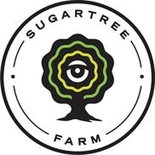 Sugar Tree