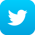 twitter-icon